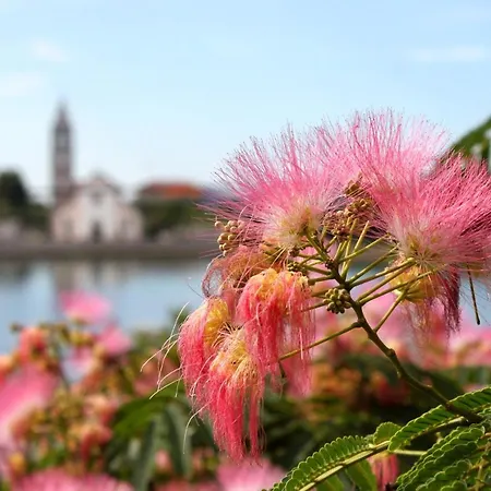 Triple 8223a 3* Pašman