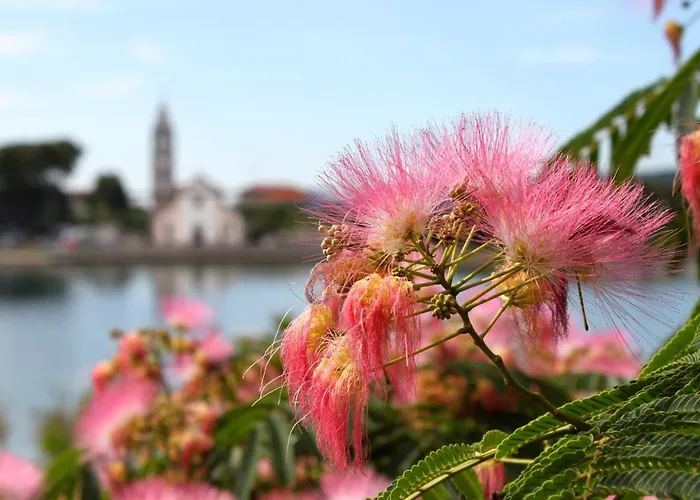 Triple 8223a 3* Pašman