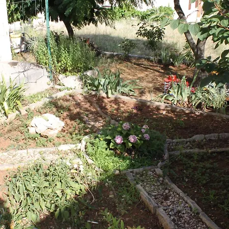 Triple 8223a Vendégház